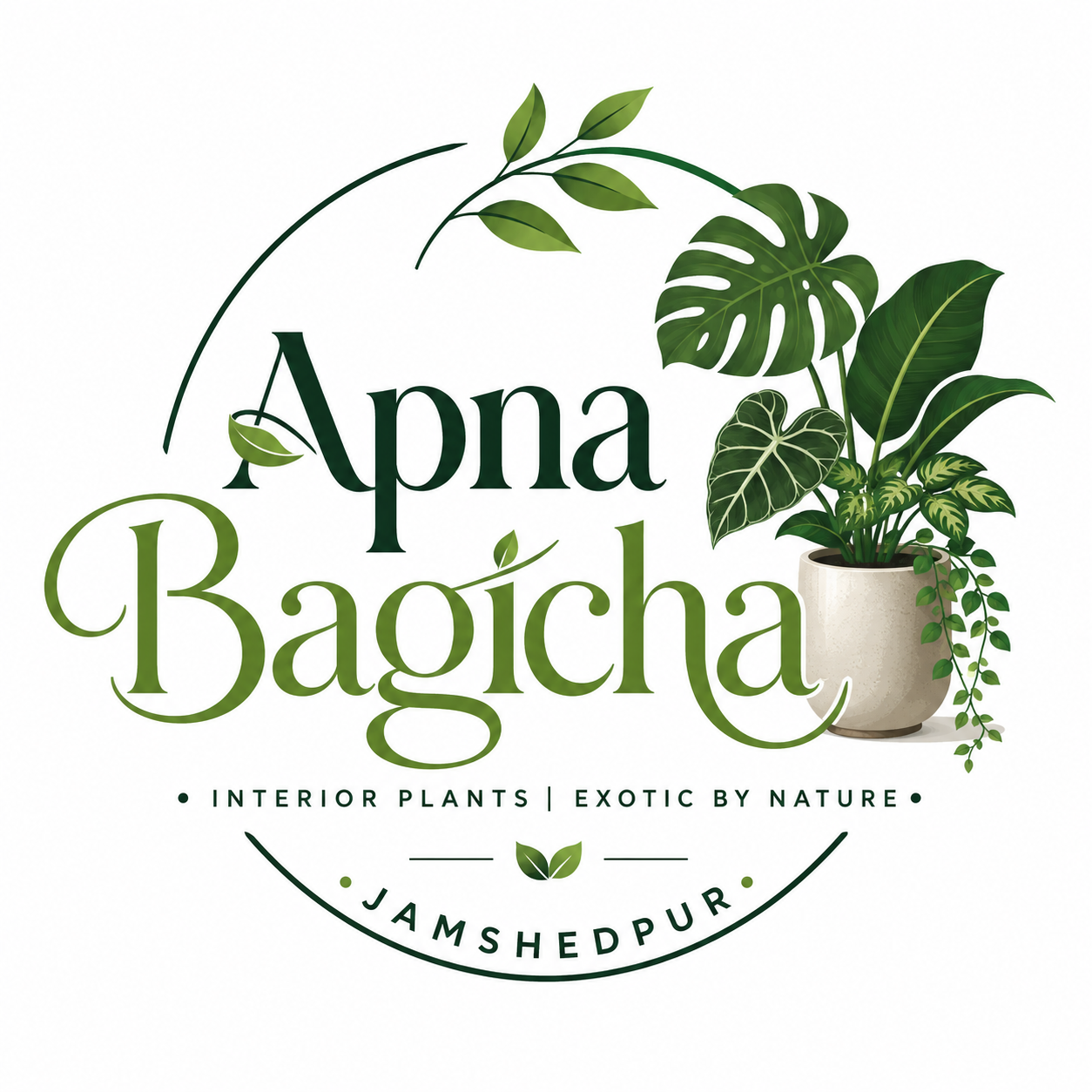 Apna Bagicha